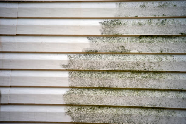 How To Choose The Right Materials for Your Siding Installation in 'Falls Church, VA