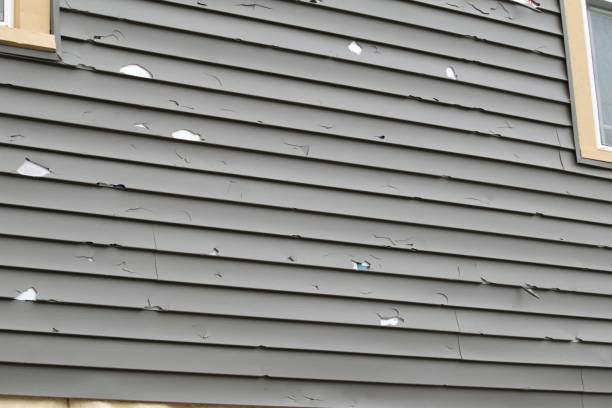 Best Composite Siding  in Falls Church, VA